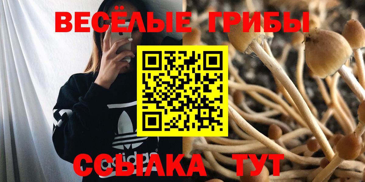 Анапа  Галлюциногенные грибы мицелий  Псилоцибиновые грибы ЛСД  Вход с VPN 